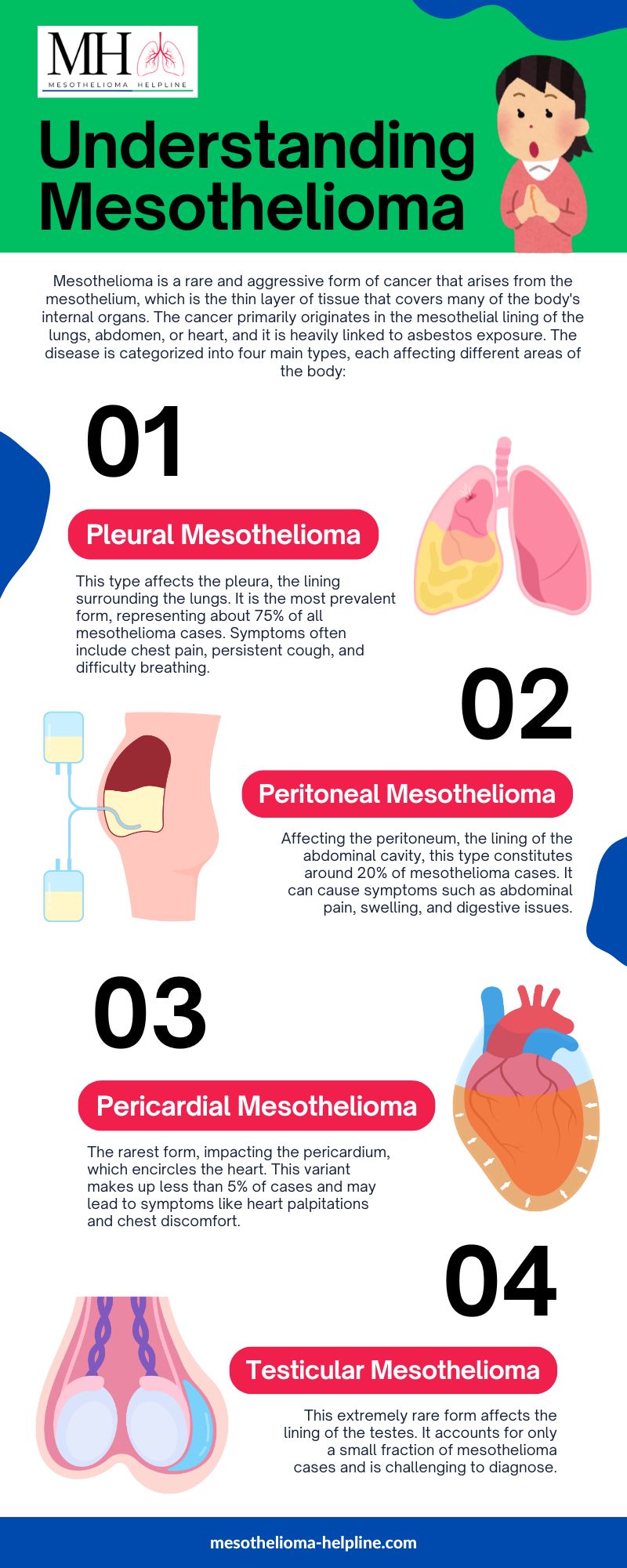 How long does it take to develop mesothelioma? | Reveal