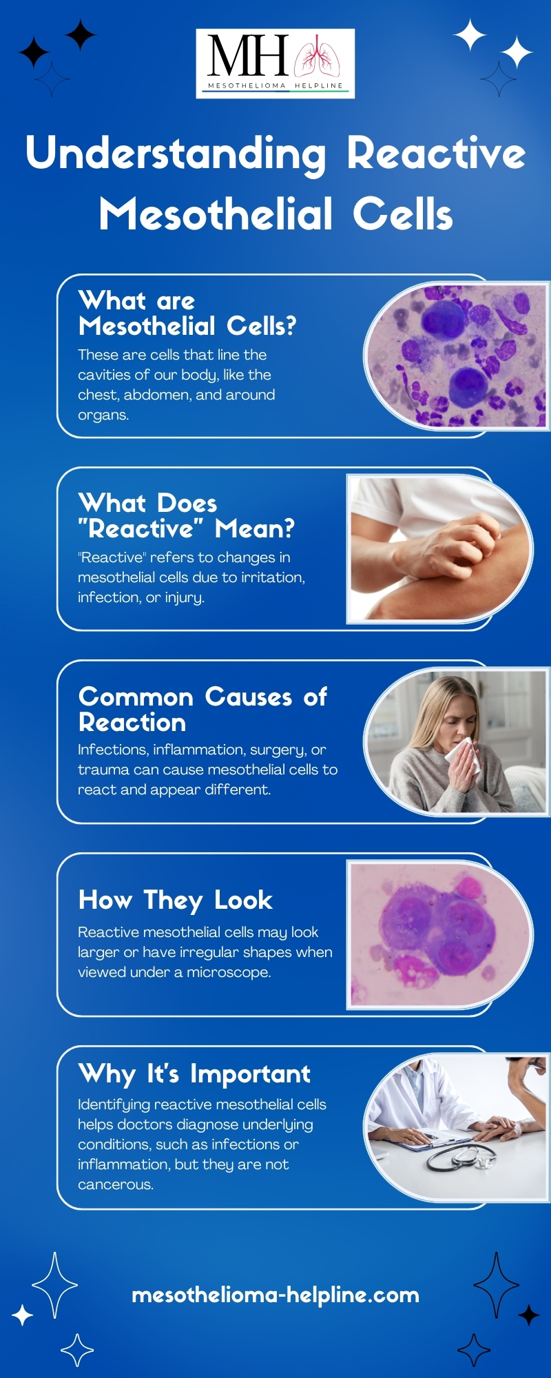 What are Reactive Mesothelial Cells in 2024? | Best