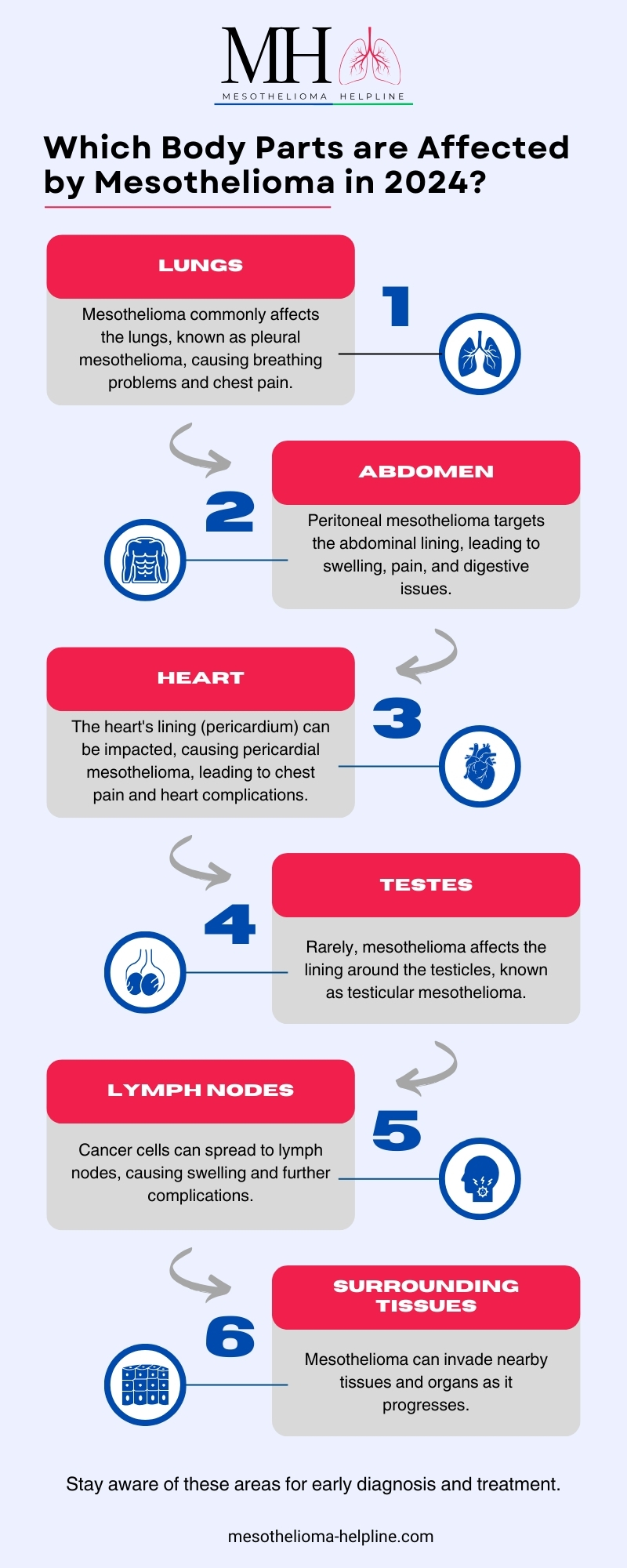 Which Body Parts are Affected by Mesothelioma? | Learn About