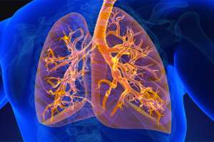 How does mesothelioma affect the respiratory system  in 2024 : A Comprehensive Guide