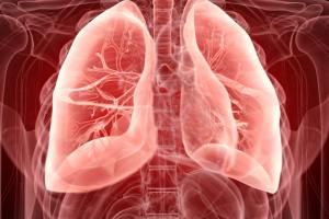 Symptoms of Asbestosis and Mesothelioma: Understanding the Impact of Asbestos Exposure