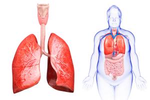 What are the Risk Factors of Malignant Mesothelioma? : A Comprehensive Guide