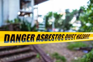 Which asbestos causes mesothelioma : Comprehensive Guide